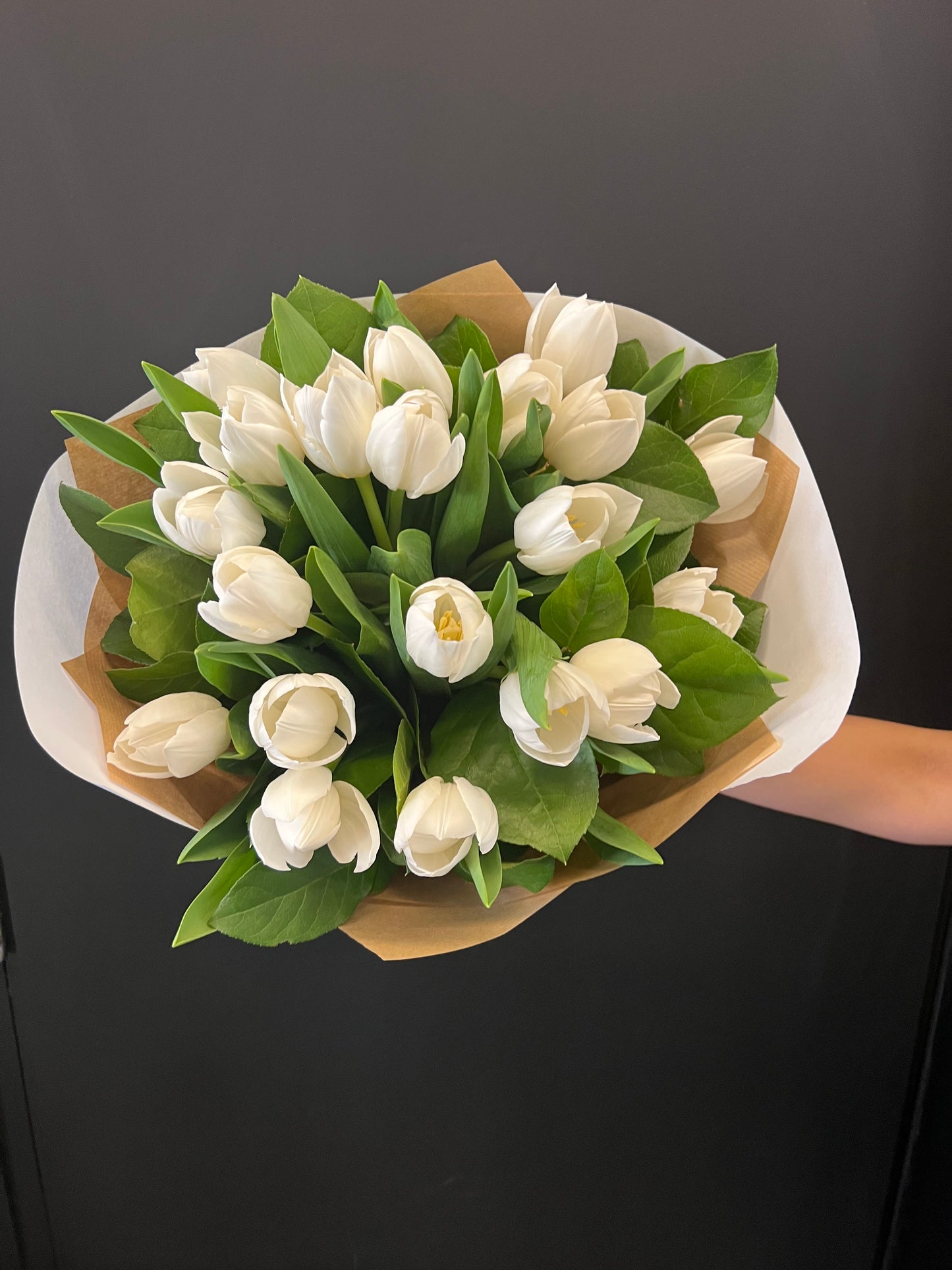 Tulips stars